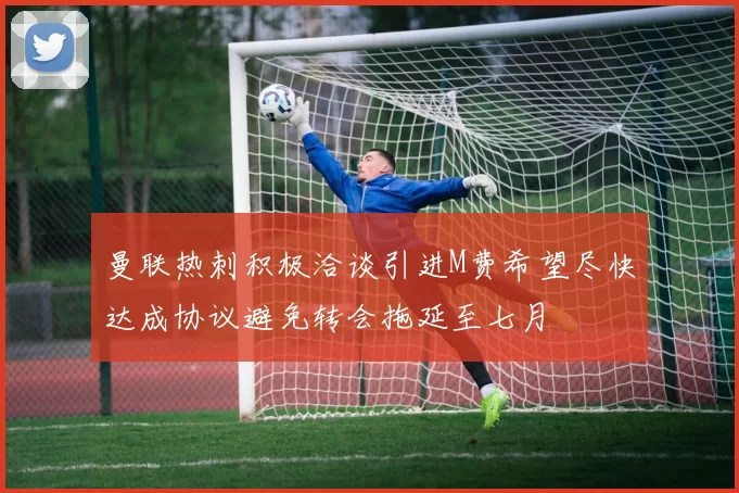 曼联热刺积极洽谈引进M费希望尽快达成协议避免转会拖延至七月